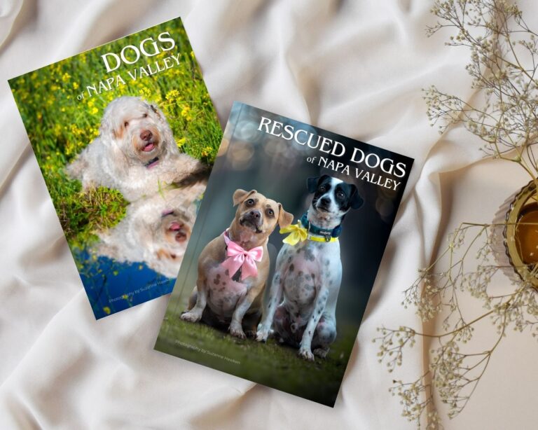 dogs and rescued dogs of napa valley photo book for the Napa Humane Pawsport Inititative 2024