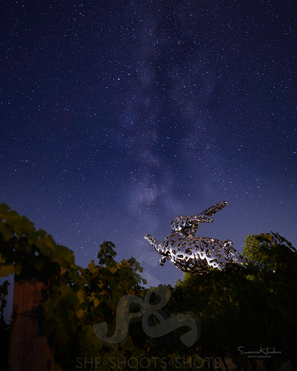 napa photographer suzanne hawken photographed the Milky Way outside of Hall Wines where the bunny is.