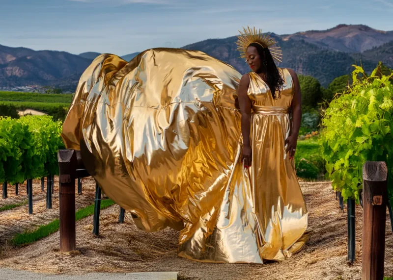 Black woman in a gold Flying Dress Photoshoot in a Sonoma Vineyard