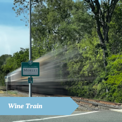 napa-valley-bachelorette-party-wine-train